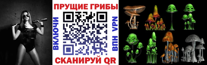 Псилоцибиновые грибы Cubensis Кашин