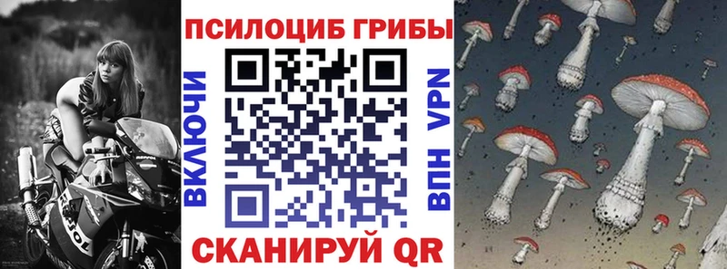 Галлюциногенные грибы Cubensis  Купить  Кашин 